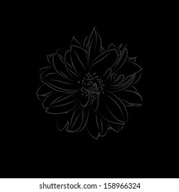 abstract flower on a black background vector