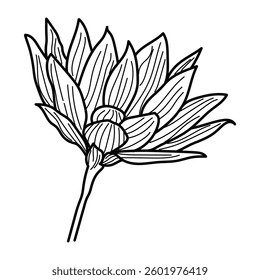 Abstract flower in one line art drawing style. Black line sketch on white background. Vector illustration.
