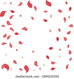 Abstract flower petals confetti background. Falling red petals decoration vector. Romantic valentines wedding celebration design for invitation card. Natural floral flying dynamic illustration design.