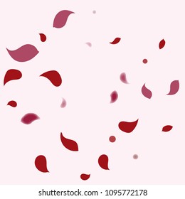 Abstract flower petals confetti background. Falling red petals decoration vector. Romantic valentines wedding celebration design for invitation card. Natural floral flying dynamic illustration design.