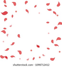 Abstract flower petals confetti background. Falling red petals decoration vector. Romantic valentines wedding celebration design for invitation card. Natural floral flying dynamic illustration design.