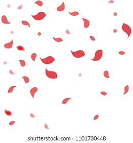 Abstract Flower Petals Confetti Background Falling Stock Vector ...