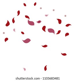 Abstract flower petals confetti background. Falling red petals decoration vector. Romantic valentines wedding celebration design for invitation card. Natural floral flying dynamic illustration design.