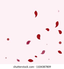 Abstract flower petals confetti background. Falling red petals decoration vector. Romantic valentines wedding celebration design for invitation card. Natural floral flying dynamic illustration design.