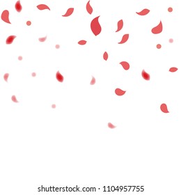 Abstract flower petals confetti background. Falling red petals decoration vector. Romantic valentines wedding celebration design for invitation card. Natural floral flying dynamic illustration design.