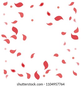 Abstract flower petals confetti background. Falling red petals decoration vector. Romantic valentines wedding celebration design for invitation card. Natural floral flying dynamic illustration design.
