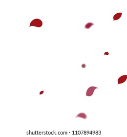 Abstract flower petals confetti background. Falling red petals decoration vector. Romantic valentines wedding celebration design for invitation card. Natural floral flying dynamic illustration design.