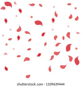 Abstract flower petals confetti background. Falling red petals decoration vector. Romantic valentines wedding celebration design for invitation card. Natural floral flying dynamic illustration design.