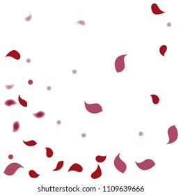 Abstract flower petals confetti background. Falling red petals decoration vector. Romantic valentines wedding celebration design for invitation card. Natural floral flying dynamic illustration design.