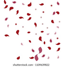 Abstract flower petals confetti background. Falling red petals decoration vector. Romantic valentines wedding celebration design for invitation card. Natural floral flying dynamic illustration design.