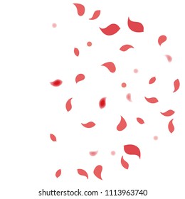 Abstract flower petals confetti background. Falling red petals decoration vector. Romantic valentines wedding celebration design for invitation card. Natural floral flying dynamic illustration design.