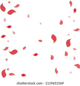 Abstract flower petals confetti background. Falling red petals decoration vector. Romantic valentines wedding celebration design for invitation card. Natural floral flying dynamic illustration design.