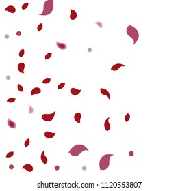 Abstract flower petals confetti background. Falling red petals decoration vector. Romantic valentines wedding celebration design for invitation card. Natural floral flying dynamic illustration design