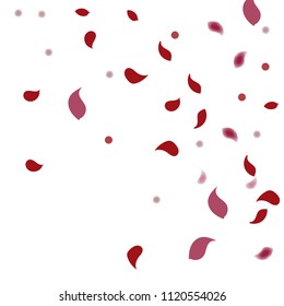 Abstract flower petals confetti background. Falling red petals decoration vector. Romantic valentines wedding celebration design for invitation card. Natural floral flying dynamic illustration design