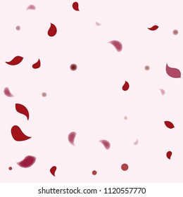 Abstract flower petals confetti background. Falling red petals decoration vector. Romantic valentines wedding celebration design for invitation card. Natural floral flying dynamic illustration design.