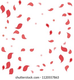 Abstract flower petals confetti background. Falling red petals decoration vector. Romantic valentines wedding celebration design for invitation card. Natural floral flying dynamic illustration design.