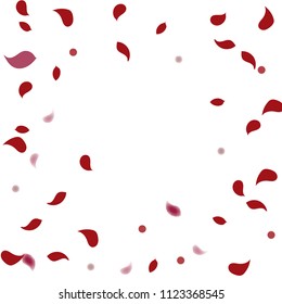 Abstract flower petals confetti background. Falling red petals decoration vector. Romantic valentines wedding celebration design for invitation card. Natural floral flying dynamic illustration design