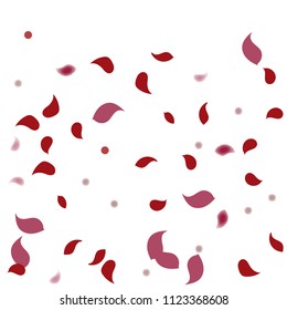 Abstract flower petals confetti background. Falling red petals decoration vector. Romantic valentines wedding celebration design for invitation card. Natural floral flying dynamic illustration design