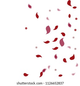 Abstract flower petals confetti background. Falling red petals decoration vector. Romantic valentines wedding celebration design for invitation card. Natural floral flying dynamic illustration design
