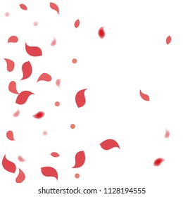 Abstract flower petals confetti background. Falling red petals decoration vector. Romantic valentines wedding celebration design for invitation card. Natural floral flying dynamic illustration design.