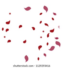 Abstract flower petals confetti background. Falling red petals decoration vector. Romantic valentines wedding celebration design for invitation card. Natural floral flying dynamic illustration design.