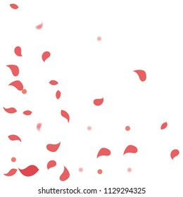 Abstract flower petals confetti background. Falling red petals decoration vector. Romantic valentines wedding celebration design for invitation card. Natural floral flying dynamic illustration design.