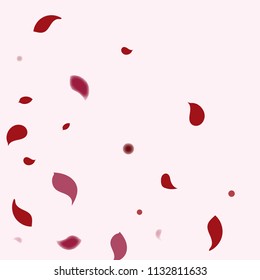 Abstract flower petals confetti background. Falling red petals decoration vector. Romantic valentines wedding celebration design for invitation card. Natural floral flying dynamic illustration design.