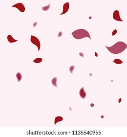 Abstract flower petals confetti background. Falling red petals decoration vector. Romantic valentines wedding celebration design for invitation card. Natural floral flying dynamic illustration design.