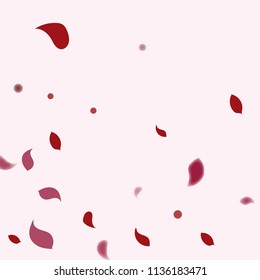 Abstract flower petals confetti background. Falling red petals decoration vector. Romantic valentines wedding celebration design for invitation card. Natural floral flying dynamic illustration design.