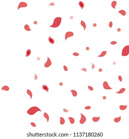 Abstract flower petals confetti background. Falling red petals decoration vector. Romantic valentines wedding celebration design for invitation card. Natural floral flying dynamic illustration design.