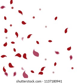Abstract flower petals confetti background. Falling red petals decoration vector. Romantic valentines wedding celebration design for invitation card. Natural floral flying dynamic illustration design.