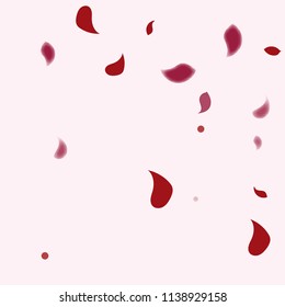 Abstract flower petals confetti background. Falling red petals decoration vector. Romantic valentines wedding celebration design for invitation card. Natural floral flying dynamic illustration design.