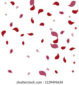 Abstract flower petals confetti background. Falling red petals decoration vector. Romantic valentines wedding celebration design for invitation card. Natural floral flying dynamic illustration design.