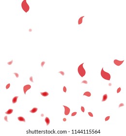 Abstract flower petals confetti background. Falling red petals decoration vector. Romantic valentines wedding celebration design for invitation card. Natural floral flying dynamic illustration design.