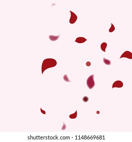 Abstract flower petals confetti background. Falling red petals decoration vector. Romantic valentines wedding celebration design for invitation card. Natural floral flying dynamic illustration design.