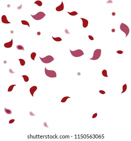 Abstract flower petals confetti background. Falling red petals decoration vector. Romantic valentines wedding celebration design for invitation card. Natural floral flying dynamic illustration design