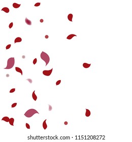 Abstract flower petals confetti background. Falling red petals decoration vector. Romantic valentines wedding celebration design for invitation card. Natural floral flying dynamic illustration design
