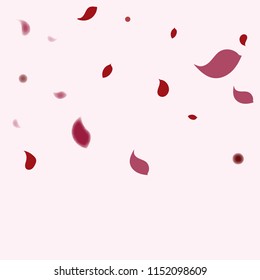 Abstract flower petals confetti background. Falling red petals decoration vector. Romantic valentines wedding celebration design for invitation card. Natural floral flying dynamic illustration design.