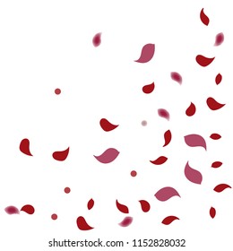Abstract flower petals confetti background. Falling red petals decoration vector. Romantic valentines wedding celebration design for invitation card. Natural floral flying dynamic illustration design