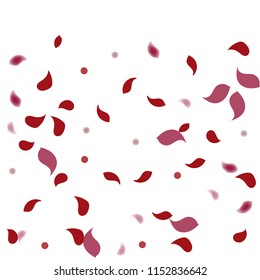 Abstract flower petals confetti background. Falling red petals decoration vector. Romantic valentines wedding celebration design for invitation card. Natural floral flying dynamic illustration design.