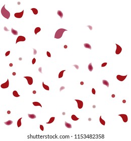 Abstract flower petals confetti background. Falling red petals decoration vector. Romantic valentines wedding celebration design for invitation card. Natural floral flying dynamic illustration design