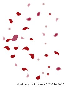 Abstract flower petals confetti background. Falling red petals decoration vector. Romantic valentines wedding celebration design for invitation card. Natural floral flying dynamic illustration design.