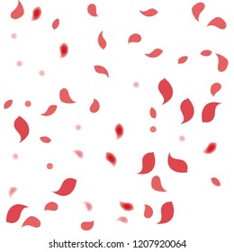 Abstract flower petals confetti background. Falling red petals decoration vector. Romantic valentines wedding celebration design for invitation card. Natural floral flying dynamic illustration design.