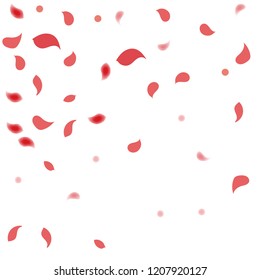 Abstract flower petals confetti background. Falling red petals decoration vector. Romantic valentines wedding celebration design for invitation card. Natural floral flying dynamic illustration design.