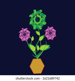 Abstract flower pot are one of six big groups of living things.They are autotrophic eukaryotes,which means they have complex cells and make their own food.