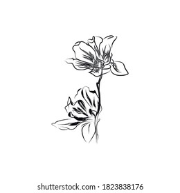 Abstract flower for print frame design. Spring wedding invitation. Vintage vector illustration. Wedding invitation design. Isolated design.