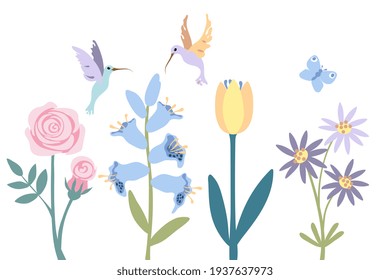 Abstract flower, rose, bell, tulip, lilac chamomile. Flying little colibri and butterfly on white background, isolated. Cartoon style. Vector illustration.