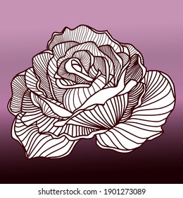 Abstract Flower Rose with Modern Gradient Color Style. Design element. Hand drawn linear art. Vector isolated illustration.