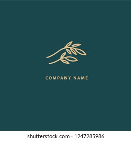 Abstract flower store logo icon vector design. Cosmetics, Spa, Beauty salon Decoration Boutique vector logo. Floral logo. Flower wedding icon. Luxury spring and summer, emblem.