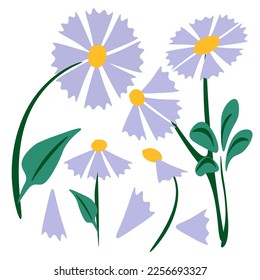 Abstract flower Trendy botanical  wall arts   wild floral  plants  leaf .